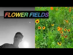 Flower Fields with Lyrics by Data1B4 - NoMusicTalentSong1