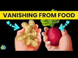 4 Vital Nutrients Vanishing From Your Food (Here's How to Fix It)