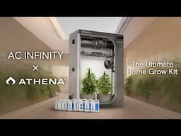 Easy Grow Tent Setup For Beginner Cannabis Growers | AC Infinity x Athena® Cultivator Kit