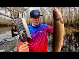 Can We Make MUDFISH Taste Good?? Bowfin Catch and Cook!