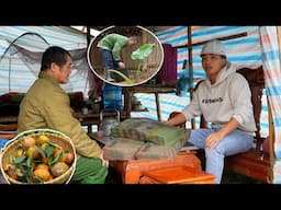 Tuấn Gives a Large Sum of Money to Workers: His Grandfather's Super Sweet Basket of Oranges