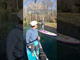 Paddling with alligators 🐊 👀 #floridastateparks #gators #floridasprings