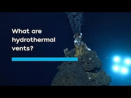 What are hydrothermal vents?