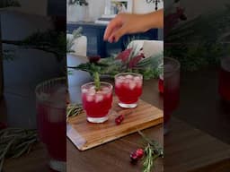 Holiday Cocktail! Cranberry Moscow Mule Recipe!