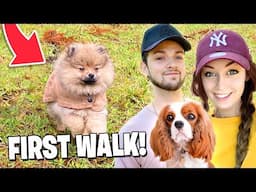 Our Puppy’s FIRST WALK! (SUPER CUTE)