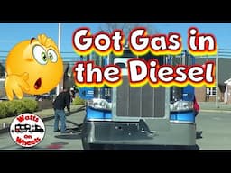 Got Gas In Our Diesel // What Can Happen // What To Do