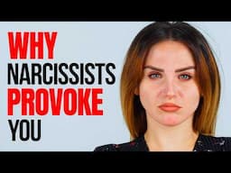 Why Narcissists Provoke You (and How to Respond Effectively)