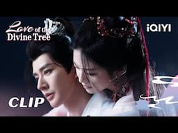 🔥Cilp：The Cold Immortal Lord shields his love❄️❤️| EP07&08｜Love of the Divine Tree | iQIYI Romance