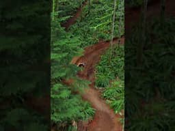 These corners 😍  #mountainbike #asmr