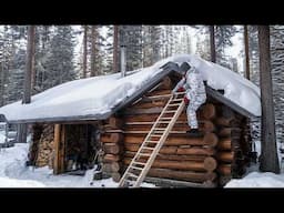 Living in a Remote Log Cabin: The Ultimate Escape, or a Total Nightmare?