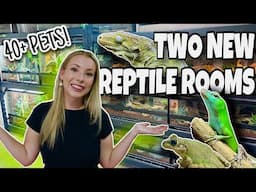 REPTILE ROOM TOUR 2023!! NEW PET ROOMS