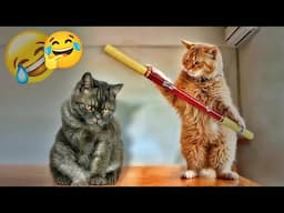 You Laugh You Lose😹🐕Funniest Dogs and Cats 2024😋😻