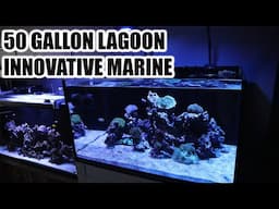 INNOVATIVE MARINE 50 GALLON LAGOON REVIEW AND OVERVIEW 2020