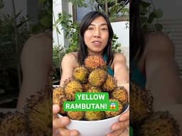 Trying the Rare Yellow Rambutan for the First Time!