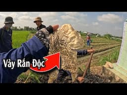 Nổi khiếp sợ của người đi ruộng | TGSB #1073