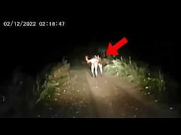 30 Most Disturbing Trail Cam Videos No One Saw Coming