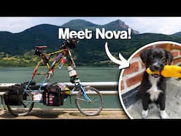 Taking a Stray Puppy With Me Around The World // Tall Bike Tour [Ep.10]