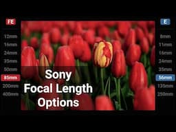 Sony Focal Length Options