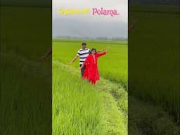 Povoma Oorgolam😍🍀| தென்காசியின் அழகு 🌾#youtubeshorts #minivlog #shorts #shortsfeed #trending