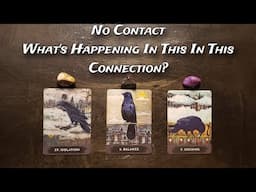 🌟💘 No Contact | What's Happening In This Connection? 🌸💞 Pick A Card Love Reading