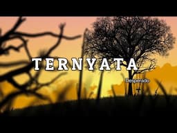 DIMAS DESPERADO - TERNYATA (OFFICIAL LIVE VERSION)