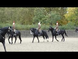 The Household Cavalry