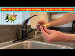 Kitchen sink faucet sprayer leaking - Replace rubber washer