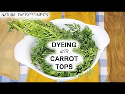 Dyeing with Carrot Tops