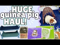 I Spent $500 on My Guinea Pigs! | The Pig Room, Chewy, SPS, and more!