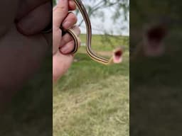 Caught an ANGRY LIL SNAKE!