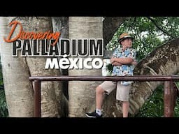 Exploring a Mexican Resort | Amazing Wildlife & Animal Encounters!