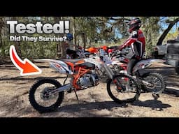 Cheap China Dirt Bikes Got Tested | At Crooms Trails in Florida | Review - TrailMaster TM-C60