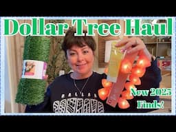 DOLLAR TREE HAUL | AMAZING NEW FINDS!