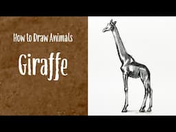 How to draw animal - Giraffe