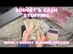 ✨January Paycheck #2 Cash Stuffing | Savings Challenges | Weekly Budget Planner Preview! ✨