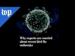 Why experts are worried about recent bird flu outbreaks