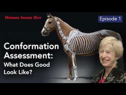 Horses Inside Out: Assessing Conformation. What Does Good Look Like?with Dr Sue Dyson