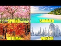 SEASONS OF THE YEAR for Kids | Learn Spring, Summer, Autumn, and Winter