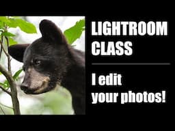 Lightroom Editing Class (I edit your photos)