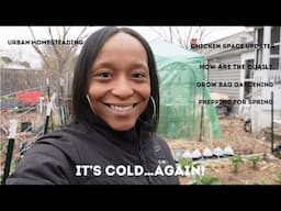 I’ve Made Some Changes To My Urban Homestead | Spring Me Please (2025) - Ep 10)