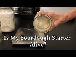 Is My Sourdough Starter Alive?