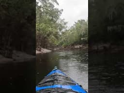 KAYAKING ON A RAINY DAY #short #shorts #shortsvideo #shortvideo  🌧️