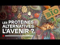 Nourriture du futur : seriez-vous prêts à manger des insectes ? - Food 3.0 - Documentaire