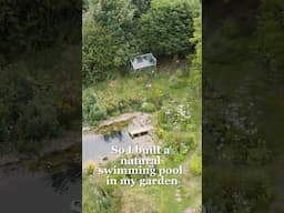 How to build a natural swimming pool in your garden, from someone who knows #naturalswimmingpool