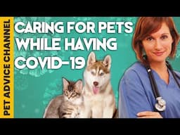 Caring for pets if you have Covid 19 what to do