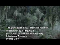 The Black Eyed Peas - Meet Me Halfway (VJ Percy Tribal Mix)