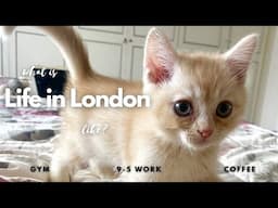 We Got a Kitten • What Life In London Looks Like • Cooking, Gym, Cleaning 🇬🇧