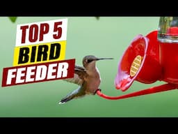 Affordable Hummingbird Feeders: Budget-Friendly Options