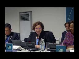 12th Annual High-Level Meeting of Caring for Climate - COP29