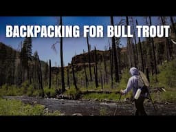 SOLO Backpacking and Fishing Adventure for BULL TROUT